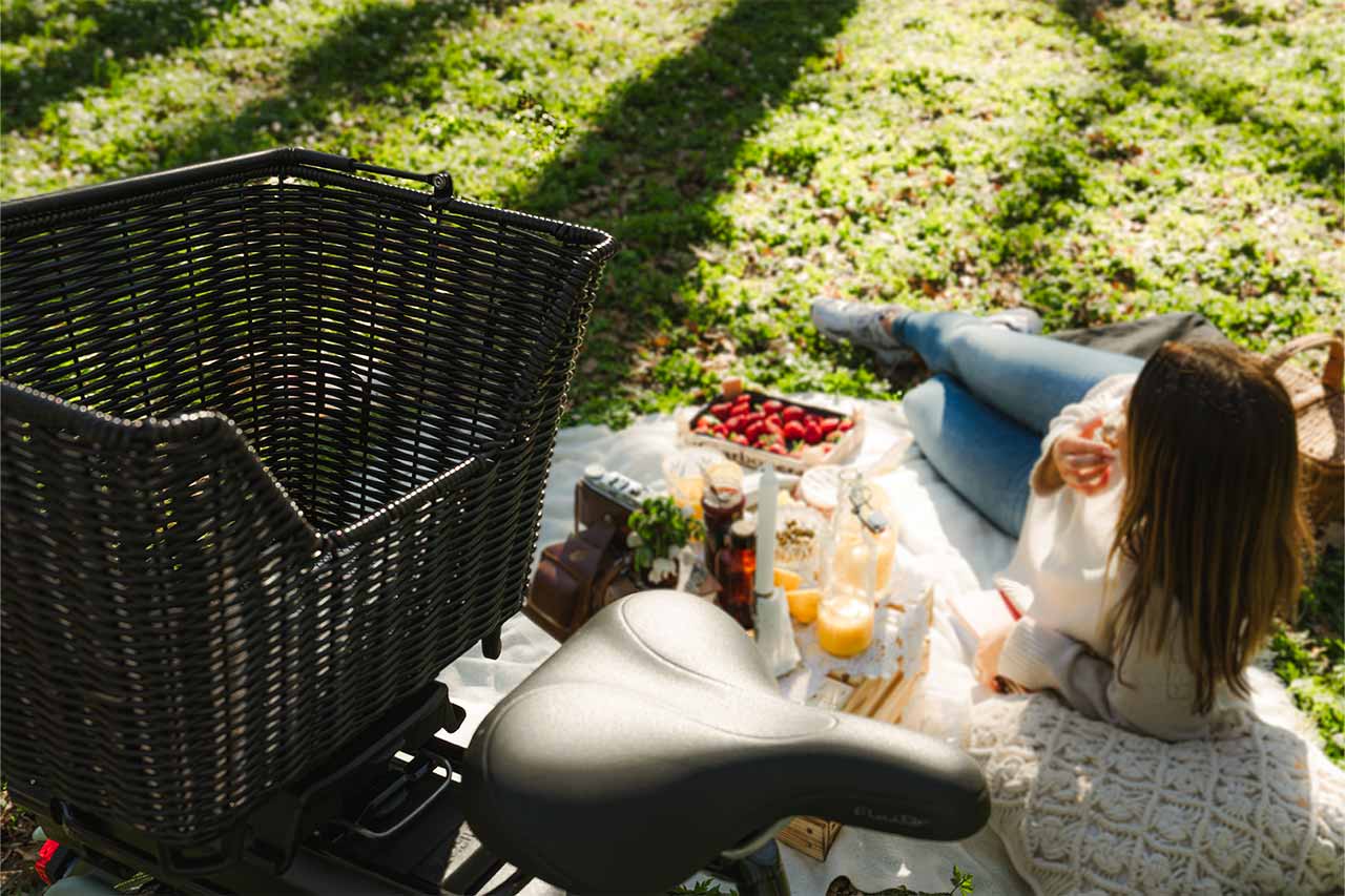 Cykelkorg Picnic Classic